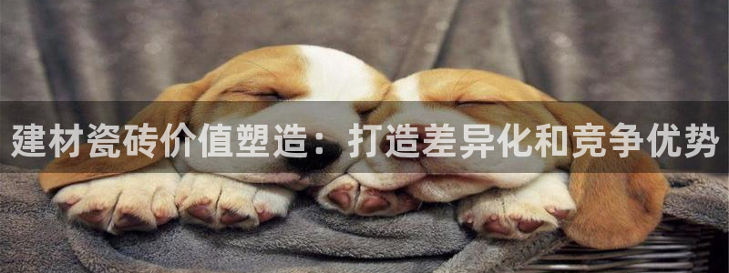 杏鑫平台代理注册流程