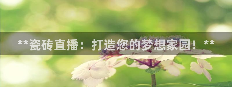 杏鑫平台线路测速