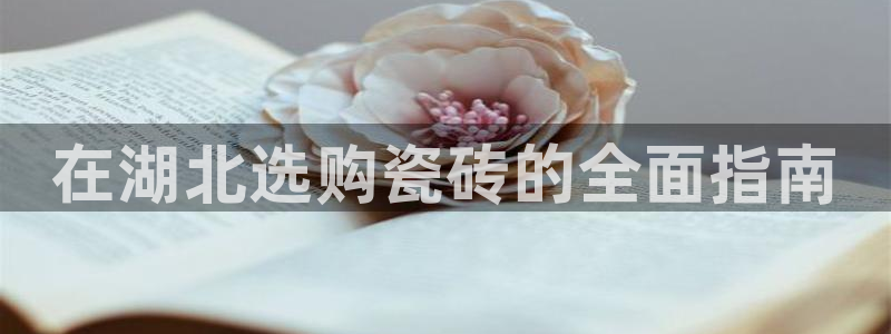 杏鑫娱乐官方网站客户端下载安装