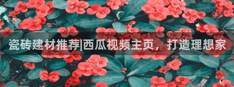 杏鑫官方平台怎么样