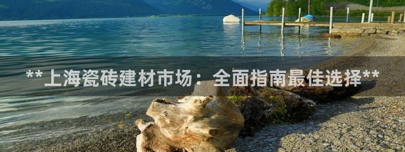 杏鑫测速注册