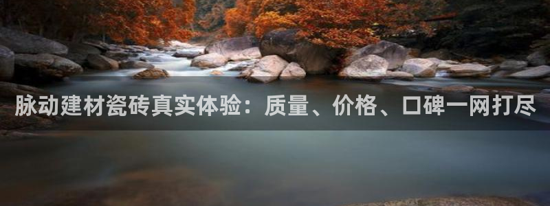 杏鑫官网注册账号密码是什么