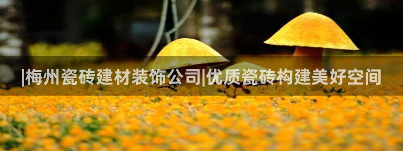 杏鑫平台是黑平台吗是真的吗