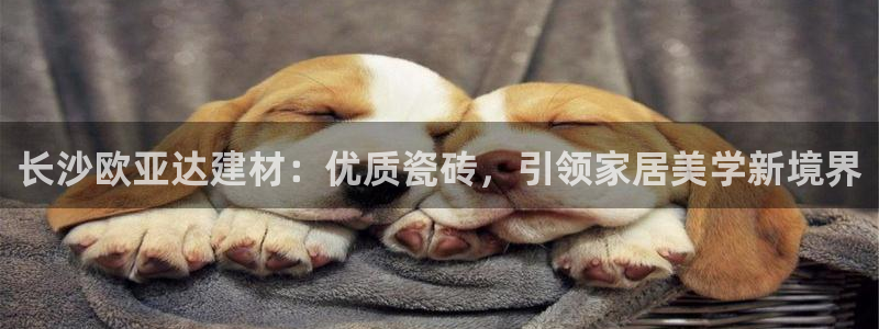 杏鑫平台代理注册流程及费用