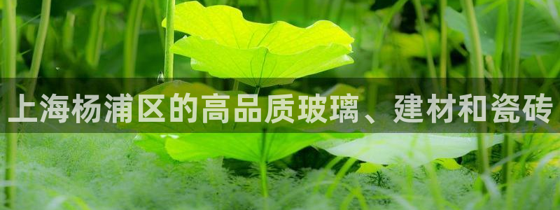 杏鑫官网注册账号怎么注册不了