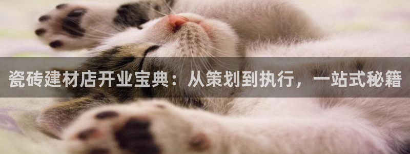 杏鑫注册平台官方网站下载