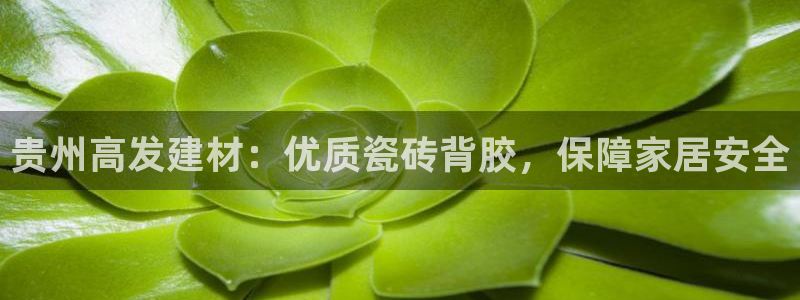 杏鑫娱乐平台登录注册网站