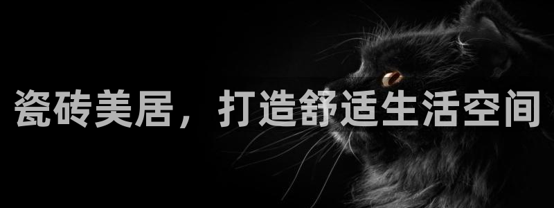 杏鑫平台代理怎么样