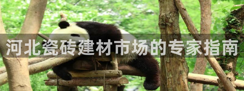 杏鑫平台代理
