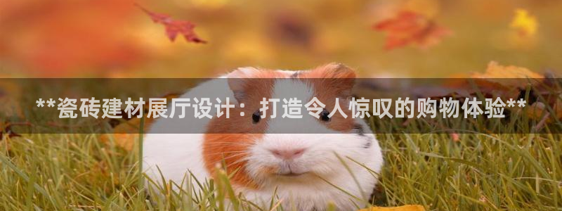 杏鑫平台怎么样黑钱吗安全吗是真的吗
