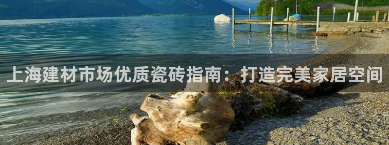 杏鑫平台登录注册