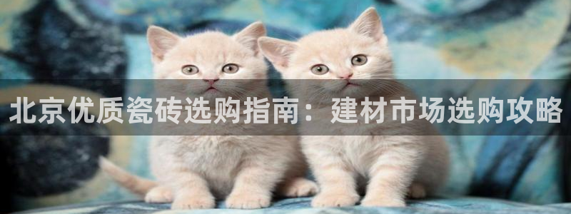 杏鑫娱乐官网登录