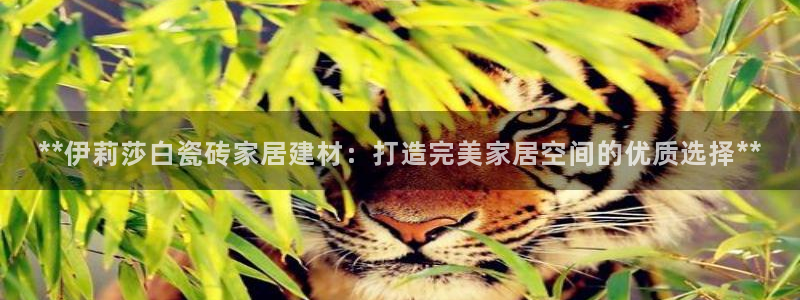 杏鑫手机客户端