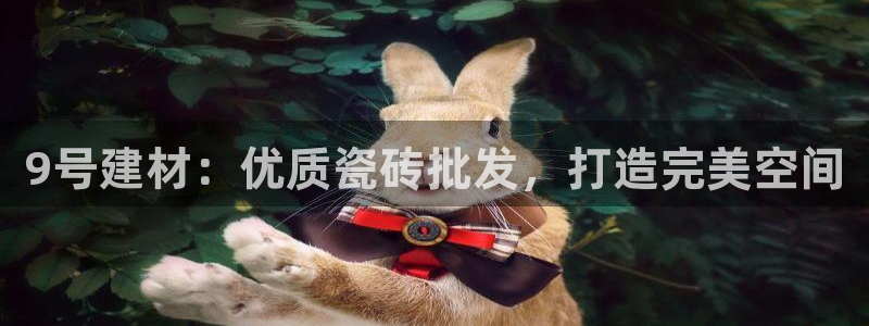 杏鑫代理注册