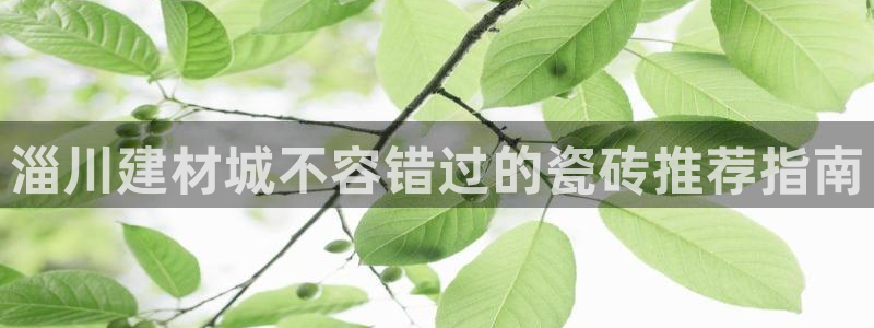 杏鑫注册登录代理公司