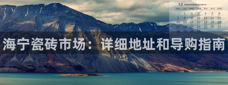 杏鑫招商总代