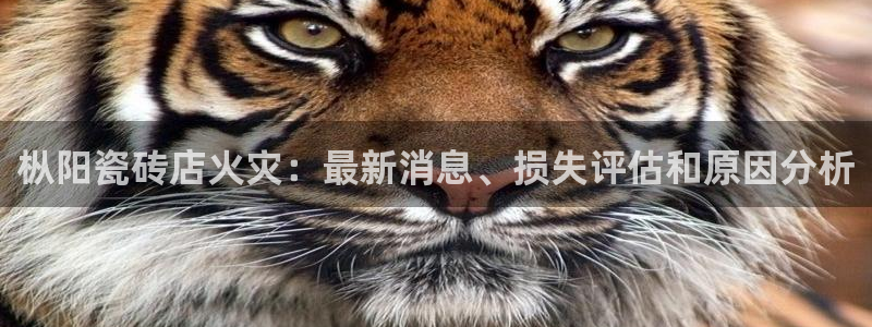 杏鑫平台下载安装