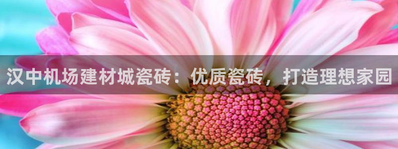 杏鑫官方平台怎么样啊