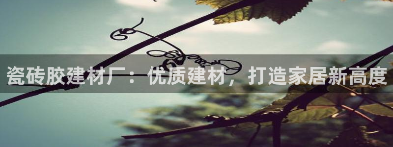 杏鑫官方平台怎么样啊知乎