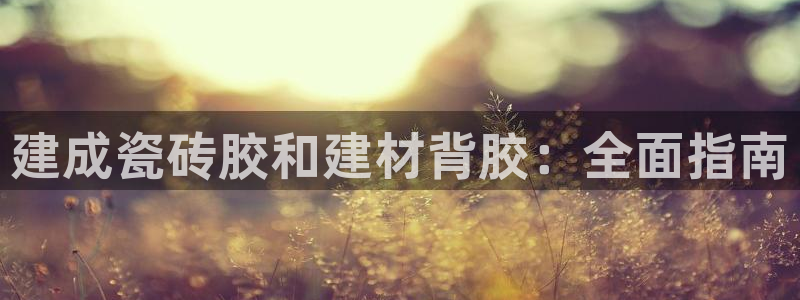 杏鑫官方平台怎么样