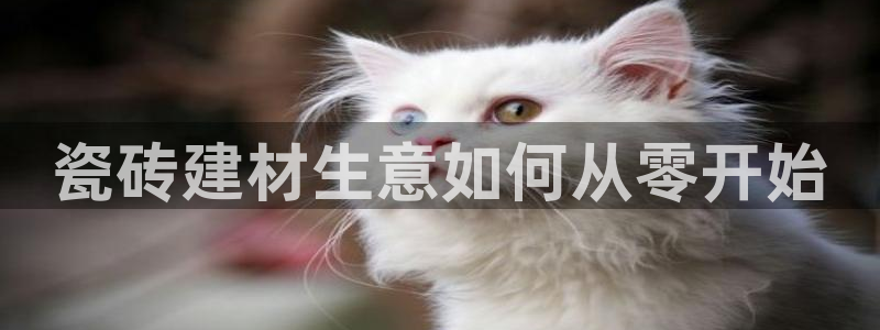 杏鑫平台怎么样黑钱吗是真的吗