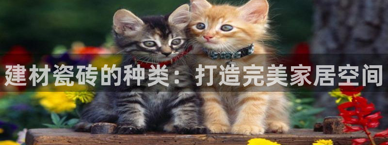 杏鑫平台怎么样黑钱吗安全吗