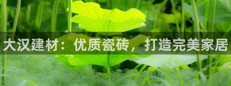 杏鑫平台注册地址