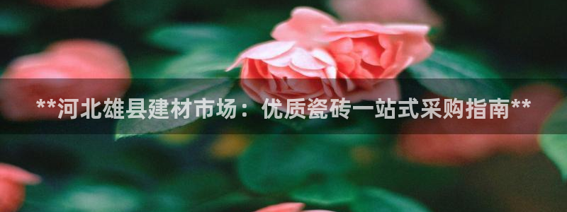 杏鑫平台代理注册