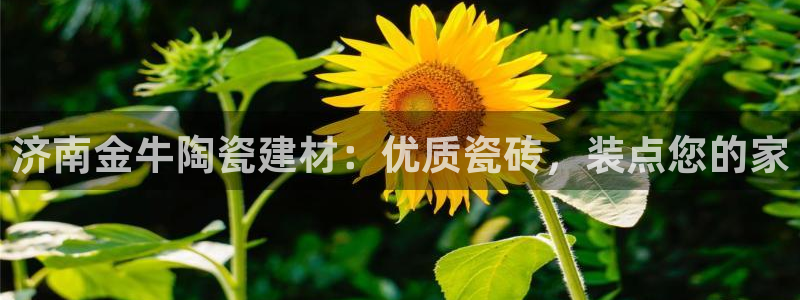 杏鑫平台代理注册多少钱啊