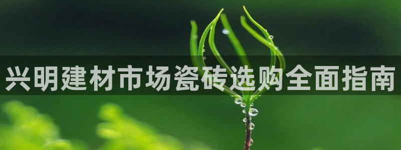 杏鑫招商总代