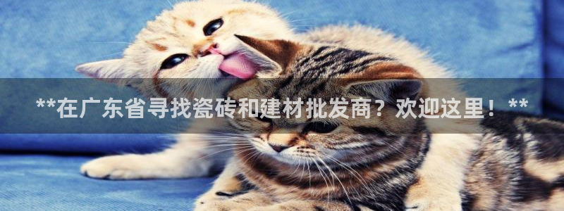 杏鑫平台注册地址