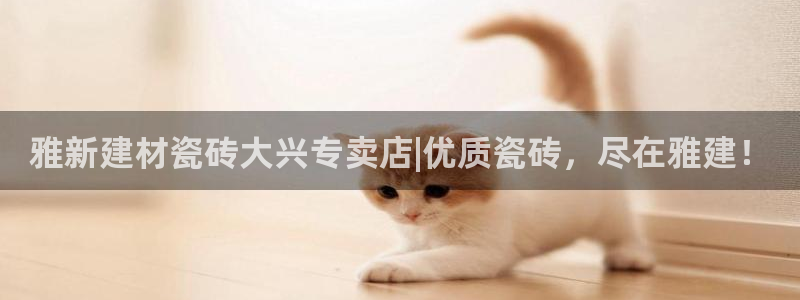 杏鑫娱乐开发团队
