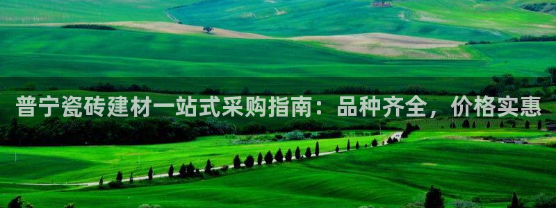 杏鑫平台野马联盟怎么样