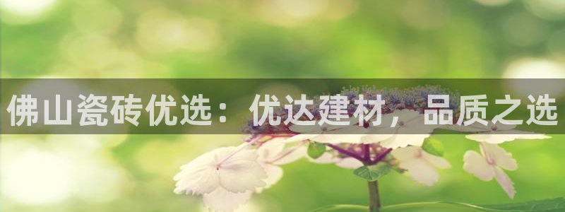 杏鑫平台登录地址