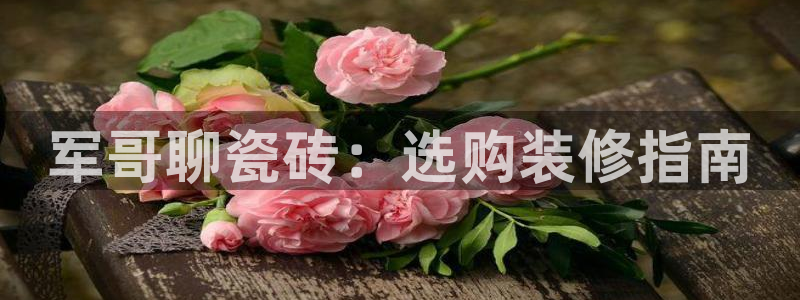 杏鑫平台代理怎么样