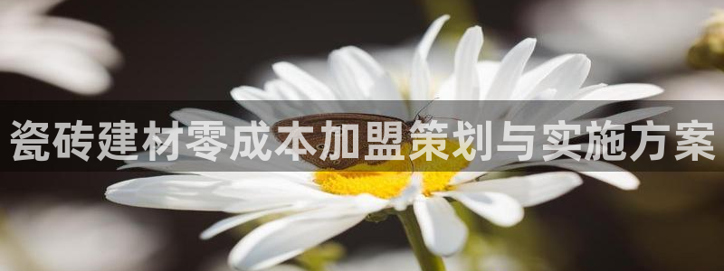 杏鑫平台招商电话