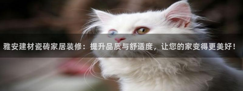 杏鑫平台注册网址查询