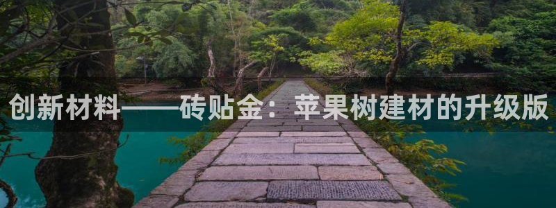 杏鑫平台注册入口在哪里找