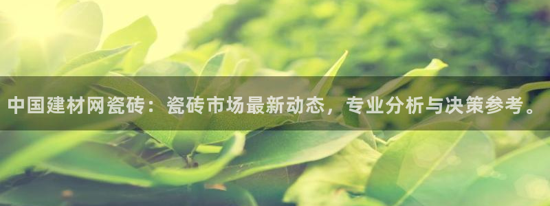 杏鑫娱乐怎么样