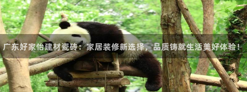 杏鑫平台登录地址