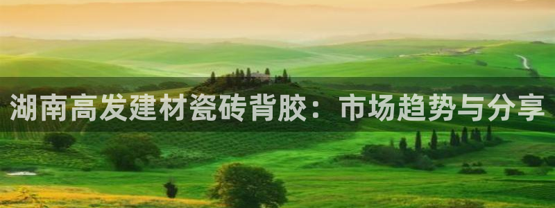 杏鑫官网最新信息新闻