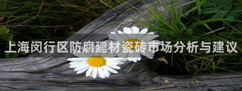 杏鑫娱乐官方网站客户端下载安装
