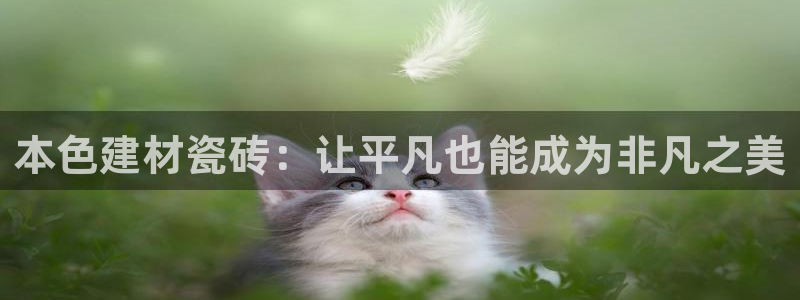 杏鑫娱乐官网首页