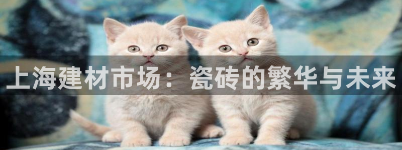 杏鑫平台注册登录