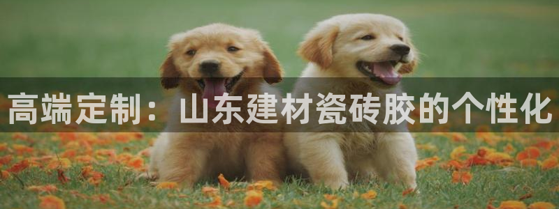 杏鑫平台直属哪个公司