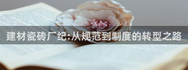 杏鑫官方平台怎么样