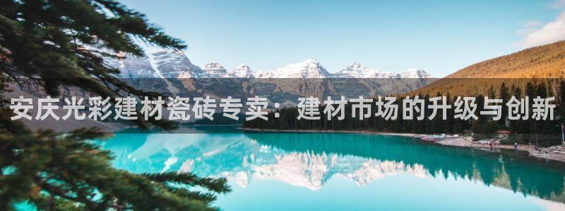 杏鑫注册登录代理