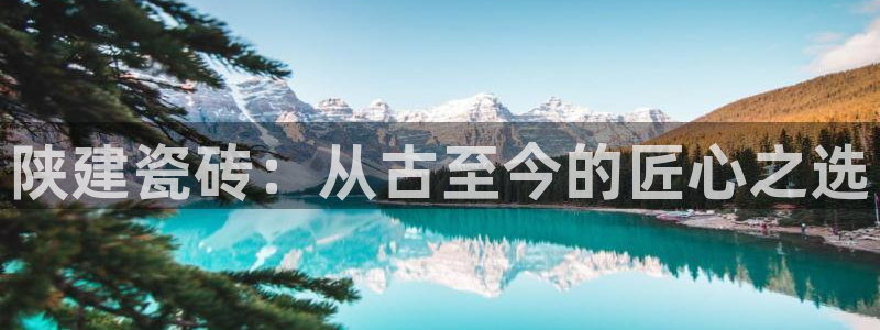 杏鑫官网注册账号是什么