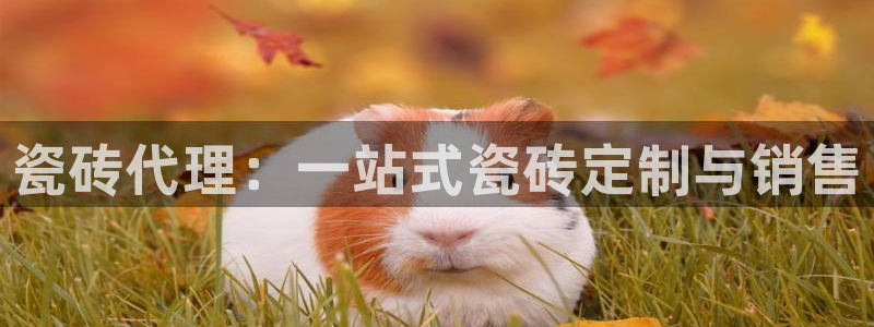 杏鑫官网注册账号