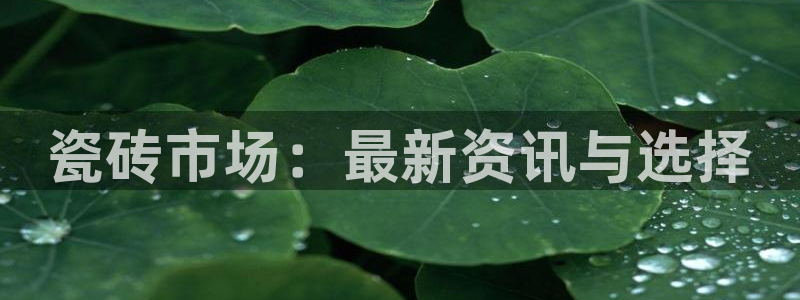 杏鑫平台代理注册流程及费用